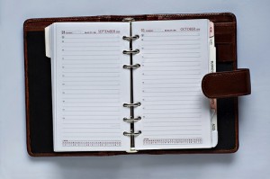 Diary planning to hunt for jobs possabilities