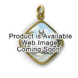 University of North Texas Denton TX 24K Gold Plated Charm