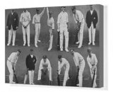 Canvas Print of The Yorkshire County Cricket Team, 1912